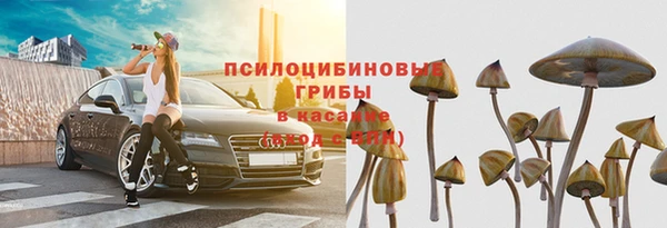 прущая мука Армянск