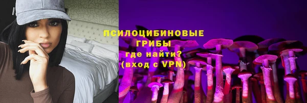 мяу мяу мука Аркадак